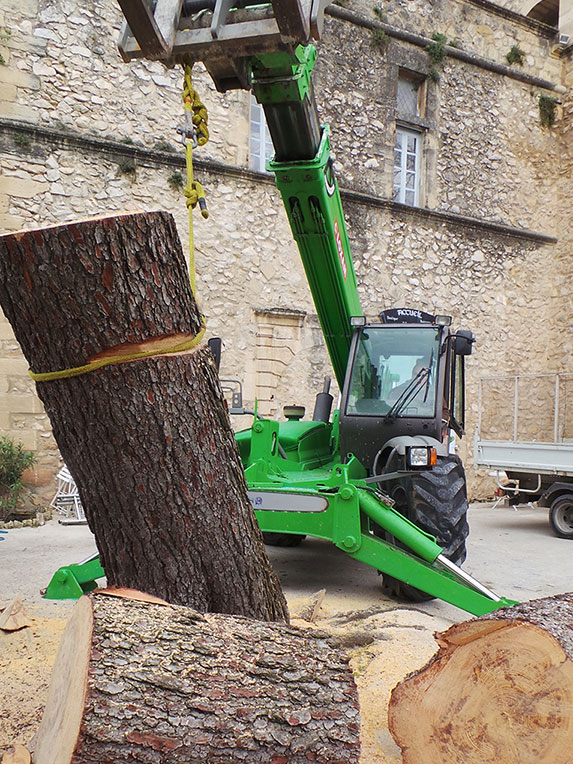 Abattage d'un pin au Chateau de la Barben