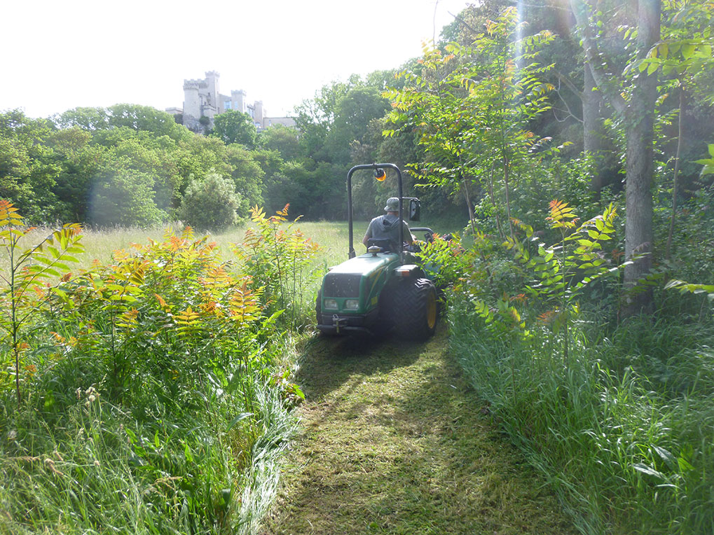 Débroussaillage au château de la Barben