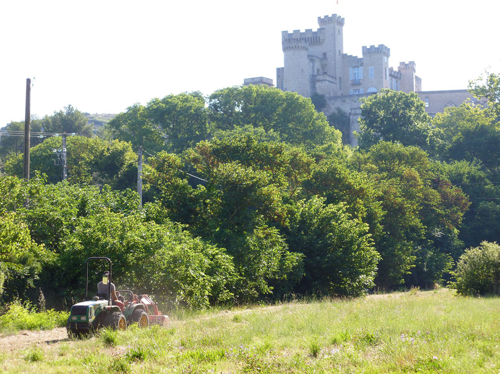 Débroussaillage du grand pré au Château de la barben 